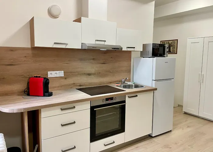 Apartman Josefska * ברנו